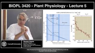 BIOPL3420 - Plant Physiology - Lecture 5