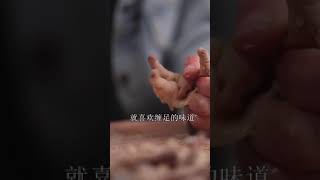 90 472 斌恒地道乡村美食 酸辣开胃#无骨鸡爪 好吃的秘密，我不说你肯定不Easy food Feet Chicken recipe