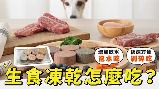 【犬貓進食中】生食凍乾怎麼吃？