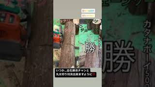 【鋸】最強バッテリーチェーンソーvsノコギリ