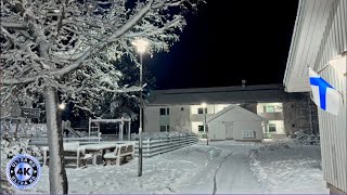 Why Does Finland Top the Happiness Charts? A Morning Winter Walk Through a Blizzard.