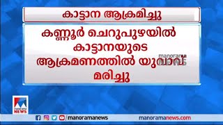 കാട്ടാന ആക്രമണത്തില്‍ യുവാവ് മരിച്ചു; മൃതദേഹം കണ്ടെത്തിയത് തോട്ടത്തില്‍ | Kannur | Wild Elephant