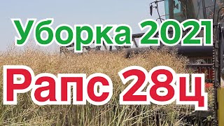 Уборка 2021 Рапс