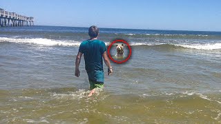 Beachgoers Instantly Ran Away When Creature Showed Up At The Beach!