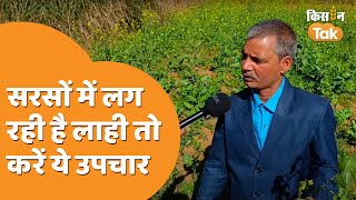 Mustard Crop: इस दवा के इस्तेमाल से दूर होगी सरसों से लाही की समस्या, देखें वीडियो #lahi | Kisan Tak