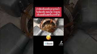 จุลินทรีย์ กำจัดกลิ่นเหม็น คอนโด ที่พัก โรงแรม