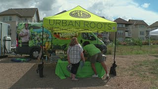 Urban Roots brings fresh food to underserved areas