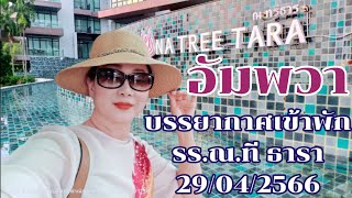 NA TREE TARA บรรยากาศเข้าพัก รร.ณ. ทรีธารา อัมพวา จ.สมุทรสงคราม 29-30 เม.ย.2566