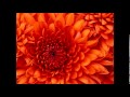 112 Don't Go Away (Interlude)