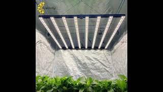 CRETIVITY BRAND CTII 640W FOLDABLE FULL SPECTRUM LED GROW LIGHT