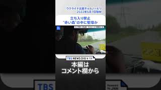 立ち入り禁止 “赤い森”の中に塹壕か【ウクライナ・チョルノービリ】(2022年5月7日取材) #shorts