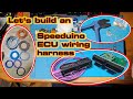 Let's build an - Speeduino ECU wiring harness