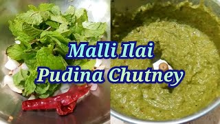 Malli Ilai Pudina Chutney | Easy And Tasty Chutney | Coriander Leaf Mint Chutney | Chutney Recipe