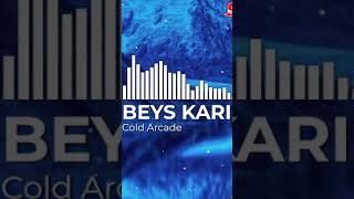 BEYS KARINA - Cold Arcade (Official Audio)