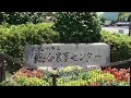 春爛漫　総合農事センター 北九州市 general farming center kitakyushu