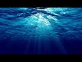 Serene ocean depth — looped background video with light music