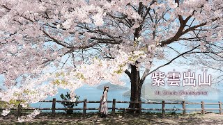 【四国・香川】三豊市-紫雲出山の桜（しうでやま）-女子旅、桜の名所、世界の絶景-Mt. Shiude (Shiudeyama)_Fujifilm X-S10_2024.04.10