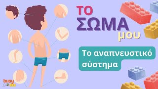 Το σώμα μου | Το Αναπνευστικό Σύστημα