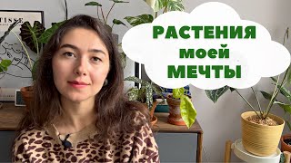 10 РАСТЕНИЙ из моего ВИШЛИСТА / Растения, о которых я мечтаю