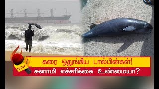 கன்னியாகுமரியில் தொடர் மழை..! மீனவர்களுக்கு எச்சரிக்கை