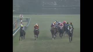 グラスワンダー 1998年 第43回有馬記念(GI) (優勝馬：グラスワンダー)