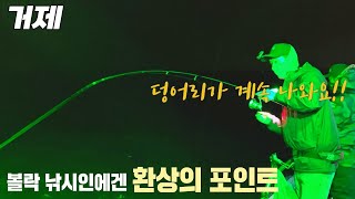 이곳은 볼락 던전? 한달만에 운좋게 가게 된 전설의 볼락 섬을 소개합니다