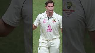 ఆస్ట్రేలియా కెప్టెన్ గా స్టీవ్ స్మిత్! #stevesmith #australiacaptain #testcricket #ytshorts