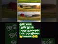 ஒரே மரம் ஒரே இடம் ஒரு ஆண்டின் பல பருவநிலை👍😱🤔🥳😱😎 shortsfeed love ytshorts shortvideo tamil music