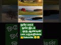 ஒரே மரம் ஒரே இடம் ஒரு ஆண்டின் பல பருவநிலை👍😱🤔🥳😱😎 shortsfeed love ytshorts shortvideo tamil music