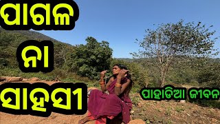 ଭୂଲ୍ କଲେ ଯିବ ଜୀବନ❗ପାହାଡିଆ ଜୀବନ❗#triballife #charigarhvlogs #travelodiavideovlog #odishavillagelife