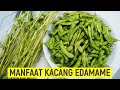 12 MANFAAT KACANG EDAMAME UNTUK KESEHATAN