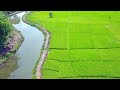 sawah dan lekukan sungai berlatar gunung yang sangat indah di lamno kab. aceh jaya bagai lukisan