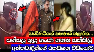 පන්සල තුළ ගංජා ගහන සක්කිලි චීවරදාරියෝ මෙන්න..! උබලගේ පවුල් පිටින් අපි මරනවා යකෝ | වැඩිහිටියන්ට පමණි