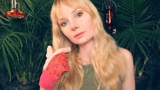 Trim and Prune Session 🌱 ASMR Plant