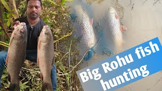 Big  Rohu Fish Catching Aaj Maine Badi Machli Ka Sikar Kiya..