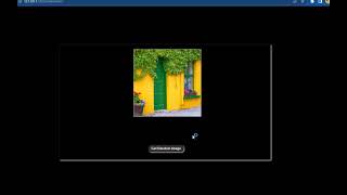 Random Image generator with JavaScript | CSS | HTML | Web development | Beginner Project in JS.