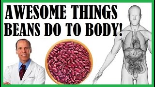 The Awesome Things Beans Do To The Body! Dr Joel Fuhrman