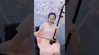 《小白杨》二胡