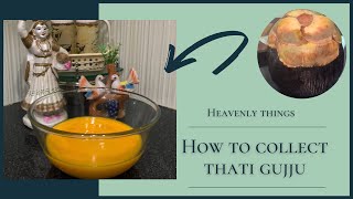 How to collect and preserve palm fruit pulp / Thati gujju/తాటి పండు పేసం ఇలా తీయొచ్చుHeavenly things