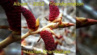 Lucien Shamballani Transformation 2022 track 80