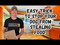 You Won't Believe This Trick to Stop Your Dog From Stealing Food!