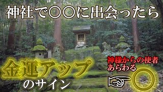 【パワースポット旅　宮川神社/京都府亀岡市】※金運アップ確定※　神社であの生物に出会いました　心が浄化される歴史ある古社