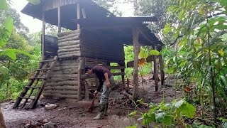 Clean the garden hut and feed the dogs and cats || Learn to live in the forest