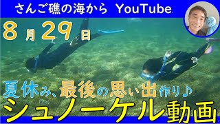 【石垣島の海】夏休み、最後の思い出つくり　8月29日　シュノーケリングツアーの動画