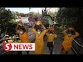 Thaipusam in Penang was in order