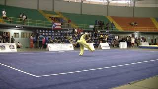 WKFFC - Group A 3rd Set GS Jared Tjiong 8.75 Bronze