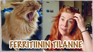 Ferritiinin tilanne ja sohvalla nukkumista.🩸🐶💩🐱