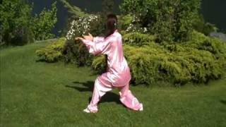 Yang Tai Chi 24 Form Back View | Taiji 24 Form Posterior View | Nelson, BC