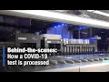 Behind-the-scenes: How a COVID-19 test is processed