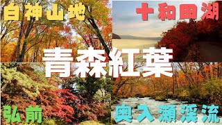 青森の紅葉　白神山地・弘前・奥入瀬渓流・十和田湖 ひとり旅